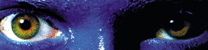 bluemangroup.gif